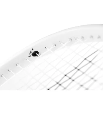 Tecnifibre T-Fight 315S