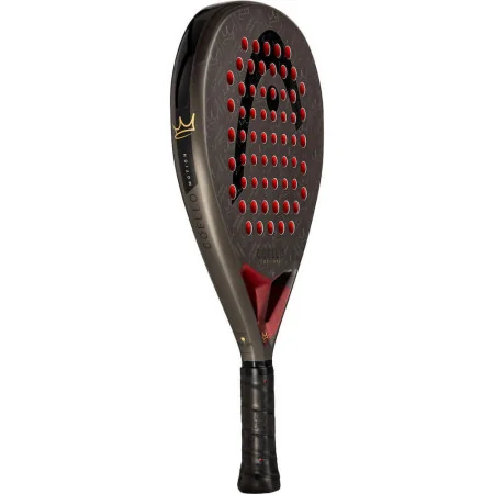 Head Coello Motion 2026